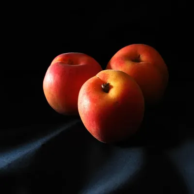 ALLURE CENDANA SERIES - APRICOT (3)