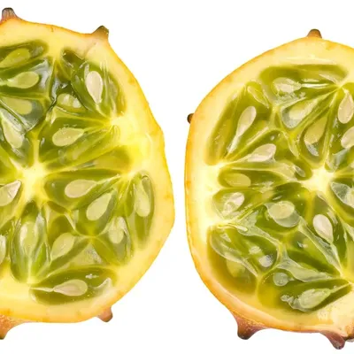 QUINCEE PALAZZO - BRANDIED MELON (8)