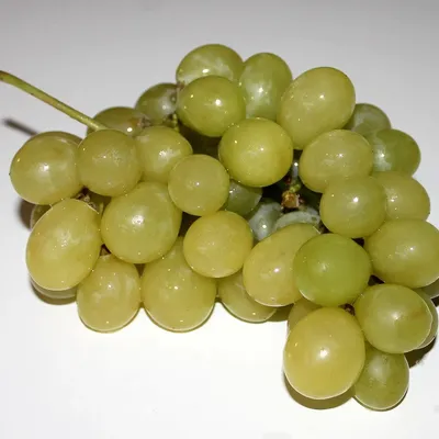 MARYAM ABAYA - GRAPE (5)
