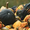 RAFA TUNIC - PUMPKIN