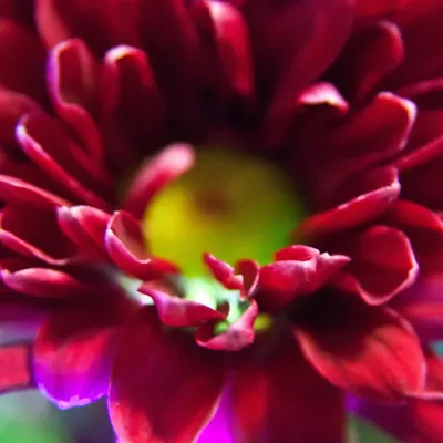 MARYAM ABAYA - MAROON (8)